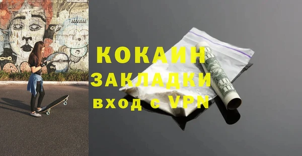 спайс Богданович