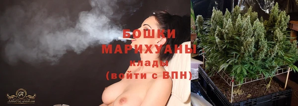 спайс Богданович
