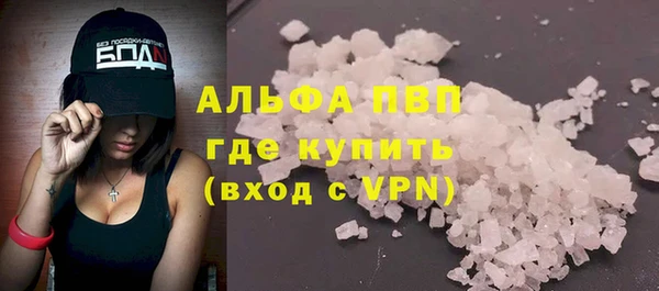 спайс Богданович
