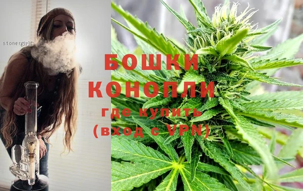 спайс Богданович