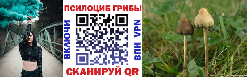 Галлюциногенные грибы Cubensis  blacksprut как войти  Болгар  купить наркотики цена 